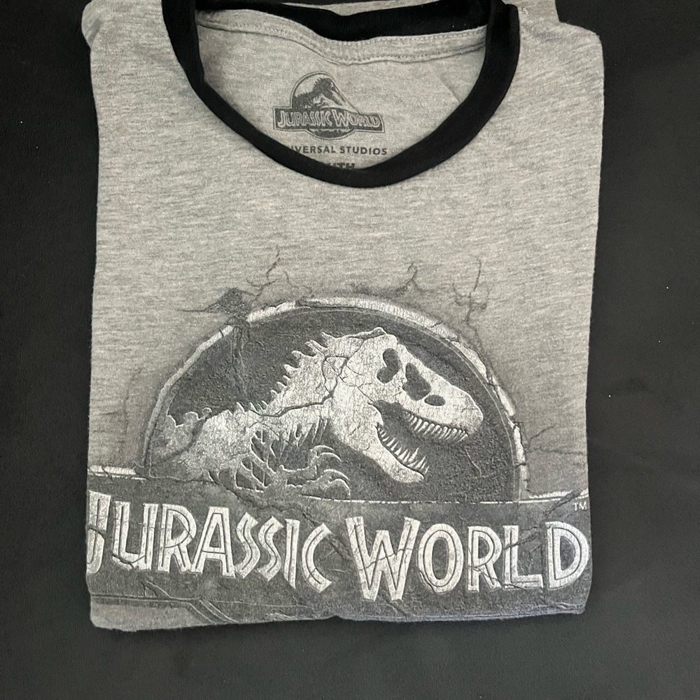 Gray and Black Jurassic World Short Sleeve Tees